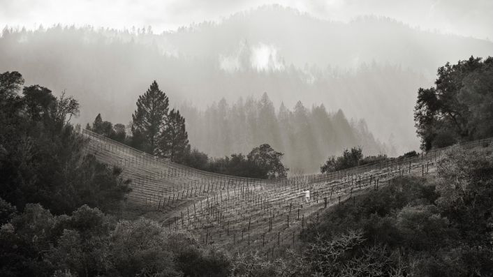 プロモントリーヴィンヤード